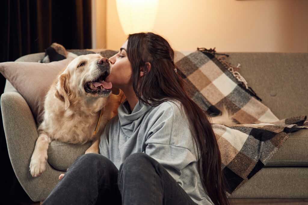 Kissing the dog. Woman is with golden retriever at home